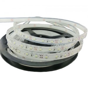 50Cm étanche blanc froid